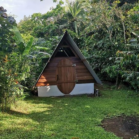 Cabana Chalet Cariari  Ngoại thất bức ảnh